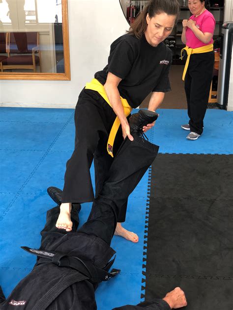 teen and adult kempo martial arts journey martial arts