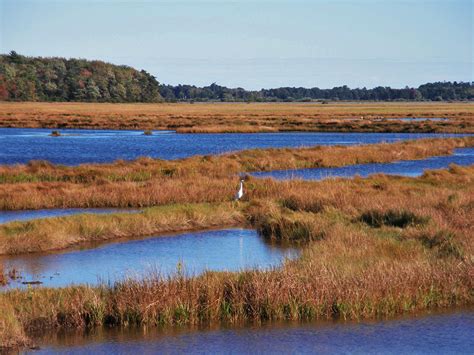 Blue Point Preserve Scarborough Land Trust