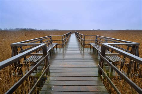 Federsee is a lake located just north of bad buchau in the region of upper swabia in southern germany. Der Federsee im Herbst Foto & Bild | landschaft, moor ...