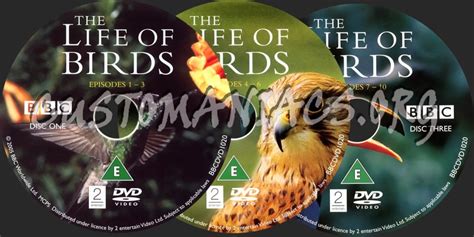 The Life Of Birds Dvd Label Dvd Covers And Labels By Customaniacs Id