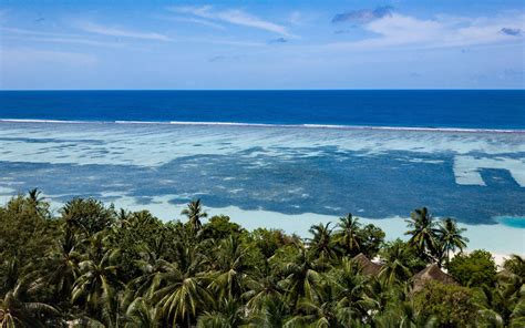Download Wallpaper 2560x1600 Coast Palm Trees Ocean Beach Tropics Widescreen 1610 Hd Background