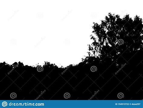 Black Tree Forest Silhouette Card With Copy Space Isolated On White
