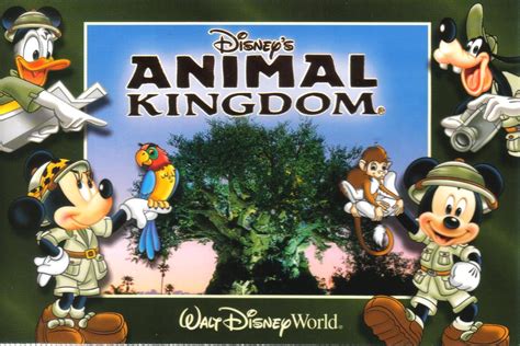 Disney Animal Kingdom Postcard Available A Photo On Flickriver