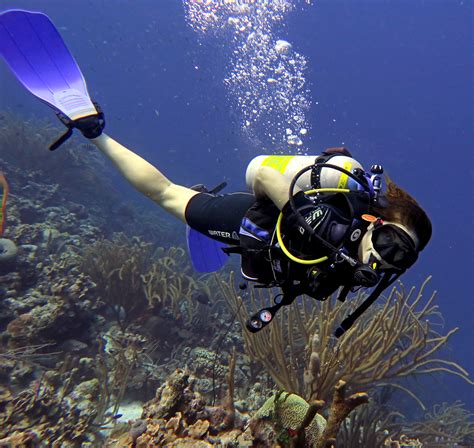 Is Scuba Diving in Bonaire Bucket-List Worthy | Jewish Journal