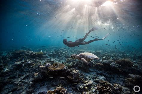 The goal is to reduce bubble formation and the potential for migration of bubbles into the systemic circulation. Meet the Freediving Couple Who Make Stunning Underwater ...