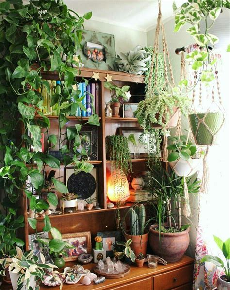 More Plants Please Boho Home Decor Room With Plants Plant Decor