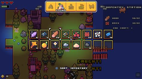 Items Forager Interface In Game