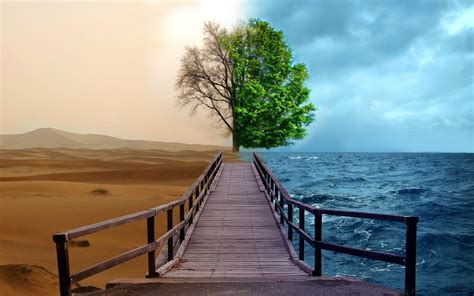 Best nature hd wallpapers for mobile and desktop, android and iphone. Creative Nature HD Wallpapers | HD Wallpapers