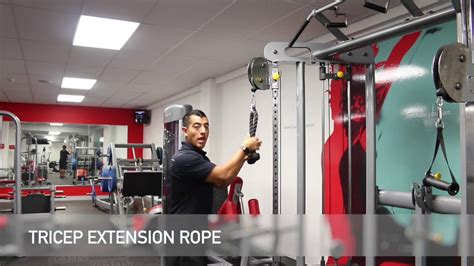 Tricep Rope Extension Youtube