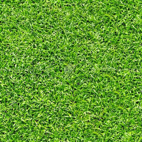 Green Grass Texture Seamless 21349