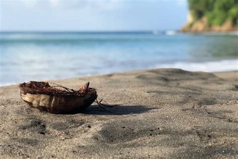Welcome to our svg map directory! Martinique Reisebericht | Erfahrungen & Tipps für die ...
