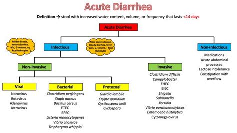 Acute Diarrhea Differential Diagnosis Framework 1 Grepmed