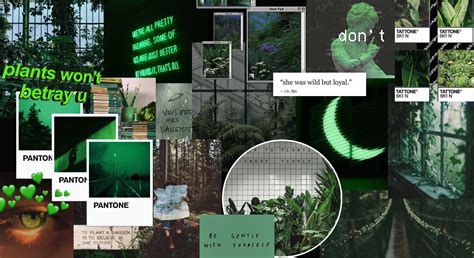 Dark Green Aesthetic Desktop Wallpapers Top Free Dark Green Aesthetic