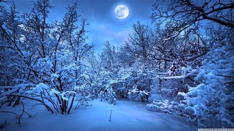 Winter Moon Beautiful Winter Scenes Winter Scenery Winter Wallpaper