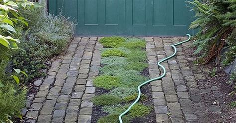 The construction of buildings, highways, driveways, and parking lots increases runoff by reducing the amount of rain absorbed by the ground. brick for tires plus ground cover and a charming garage ...