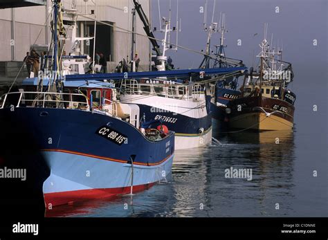 France Finistere The Fishing Harbour Of Douarnenez Stock Photo Alamy