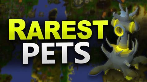 Easiest pets to get in osrs (fastest drop rate). Osrs easiest pet to get