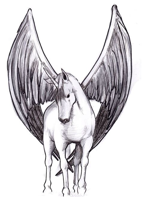 Winged Unicorn by crooktophoson on DeviantArt | Unicorn drawing, Animal