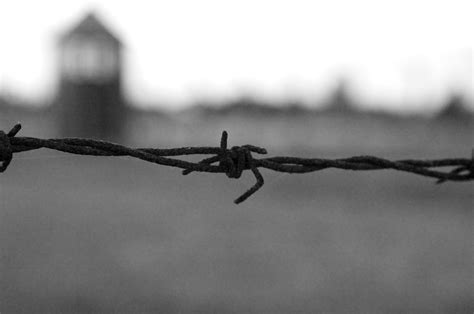 Vacca] oggi mi sento carico, mi sento carico cresciuto qui come un soldato, morirò soldato dentro questo campo minato col filo spinato eppure oggi mi sento carico, mi sento carico niente teoria, da noi si pratica a livello pratico a vivere in un. GIORNO DELLA MEMORIA - Filo spinato | Fotosensibile³