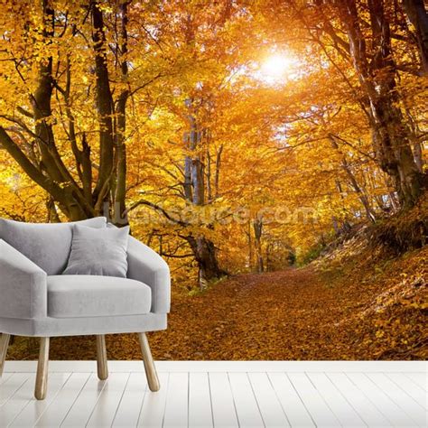 Autumn Leaves On Trees Wallpaper Mural Wallsauce Uk