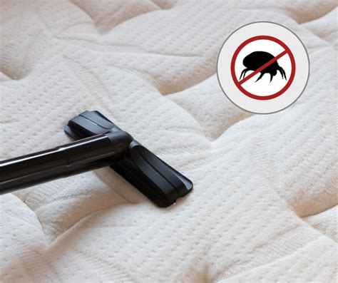 To Alleviate Dustmite Allergy Follow These Five Simple Steps Fabric
