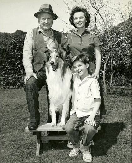 Lassie 1954 Doblaje Wiki Fandom