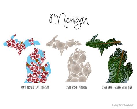 Michigan State Symbols Etsy