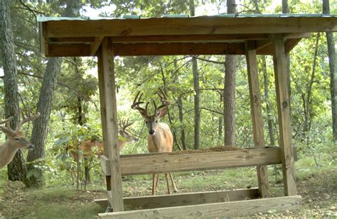 Summer Project Idea Diy Deer Feeder Deer Feeder Plans Homemade Deer Feeders Deer Feeders