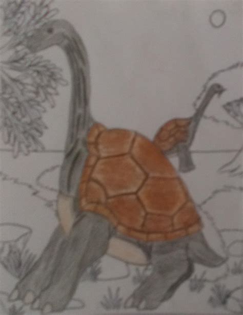 Giraffe Tortoise By Jdb1992 On Deviantart