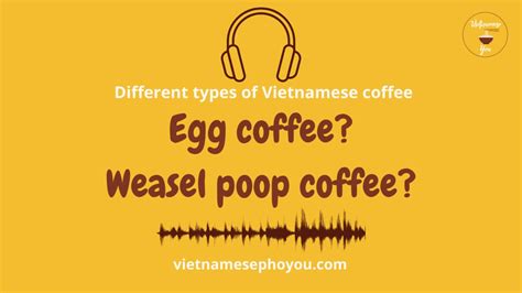 Audio Listening Vietnamese Coffee Egg Coffee And Weasel Poop Coffee