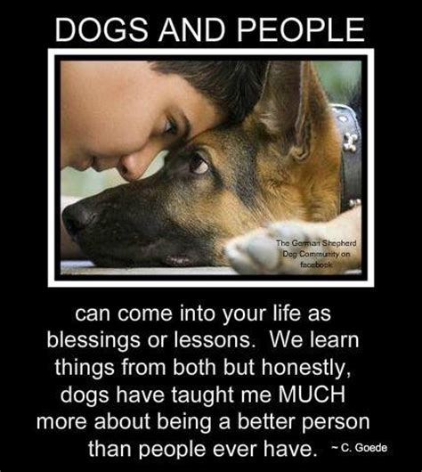 These touching and funny dog quotes and sayings describe how much canines mean to us, since dogs seem to have a special impact on the lives of their owners. Service Dog Quotes. QuotesGram