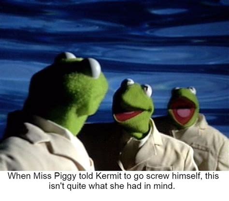 A universe where our favorite puppets are more. 115 best images about Sesame Street Memes on Pinterest | The muppets, Swedish chef and In social ...