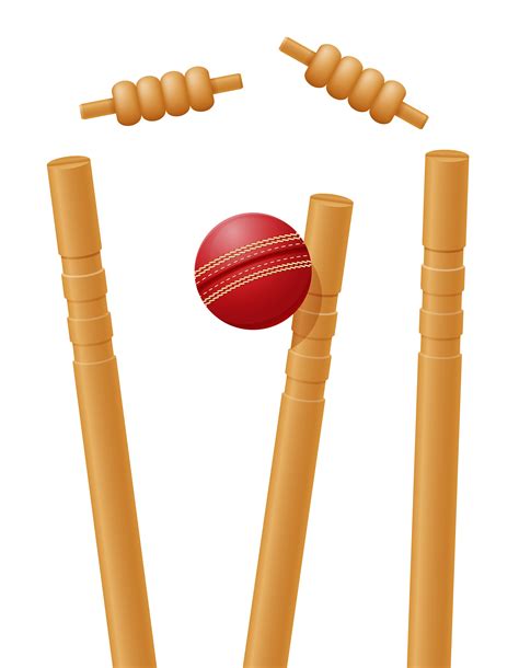 Cricket Ball Caught In The Wicket Vector Illustration 492982 Vector Art