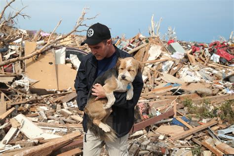 Help Oklahoma Tornado Animal Survivors With These Organizations Huffpost