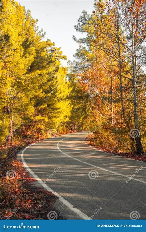 Asphalt Road Through Autumn Forest At Sunrise Stock Image Image Of