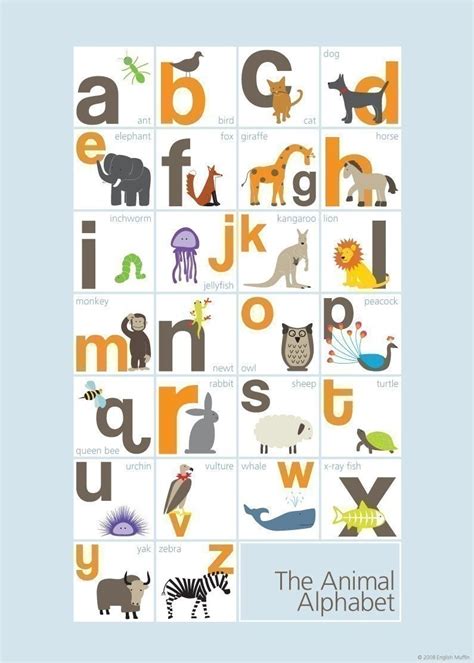 You can opt to print it at home or use a professional service, which is available in person at stores and or via online vendors. Etsy Find: Animal Alphabet Posters | buymodernbaby