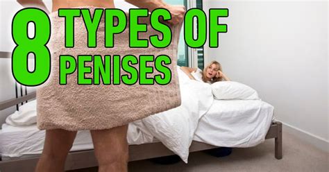 Ladies And Gentlemen There Are 8 Types Of Penises In The