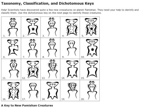 Taxonomy Classification And Dichotomous Keys Worksheet For 6th 12th