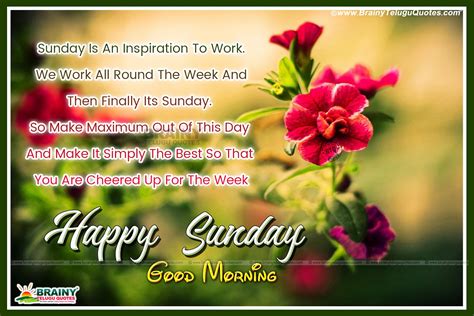 Happy Sunday Good Morning Quotes Telugu