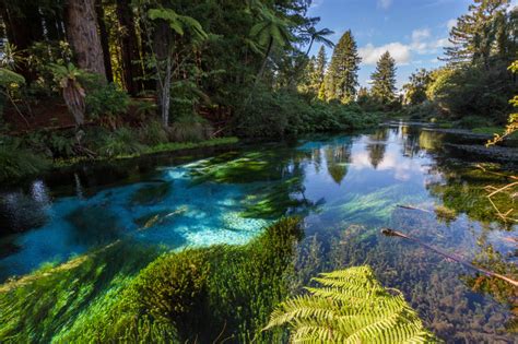 River Scenic And Landscape In New Zealand Image Free Stock Photo