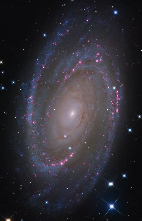 bray falls on twitter this probably is the clearest photo of a galaxy i ve ever captured m81
