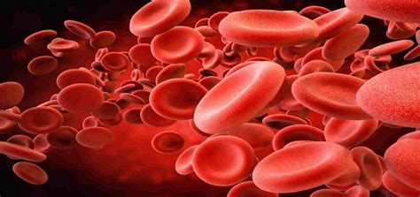 هل يمكن ان تختلف فصيلة دم الابناء عن الوالدين