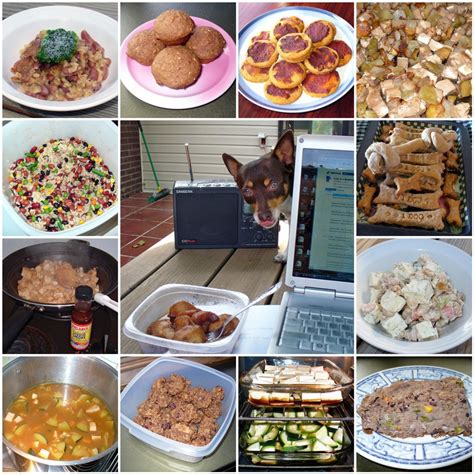 This includes all kinds of plant foods: 2 Healthy Homemade Dog Food Recipes | PetHelpful