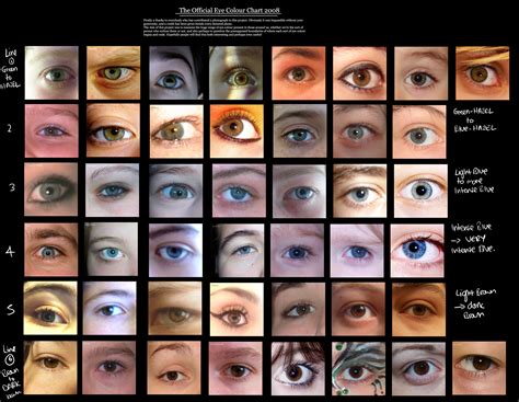 Eye Colour Chart By Delpigeon On Deviantart