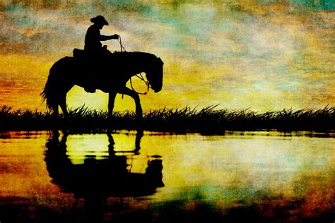 Horse Silhouette Sunset Free Stock Photo Public Domain Pictures