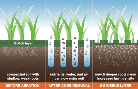 Getting a lawn fertilizer schedule right can depend on a variety of factors, including your type of grass, your climate, and your after applying, give the lawn a light watering to encourage nutrients to absorb. Lawn Aeration