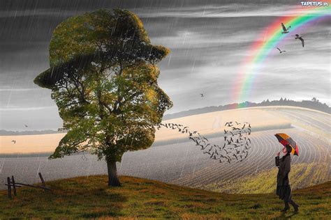 Grafika Drzewo Ptaki Tęcza Dziewczyna Deszcz Parasolka