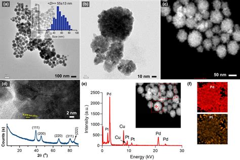 Characterization Of Bimetallic Pdpt1 Nanosponges A And B Tem