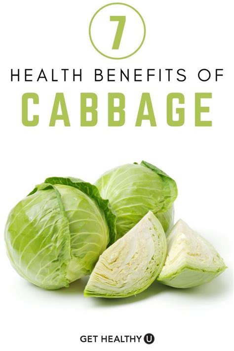 Cabbage Health Benefits Artofit