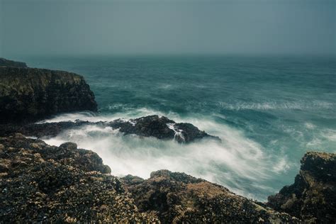 Chilling At A Hidden Gem Near Santa Cruz San Francisco